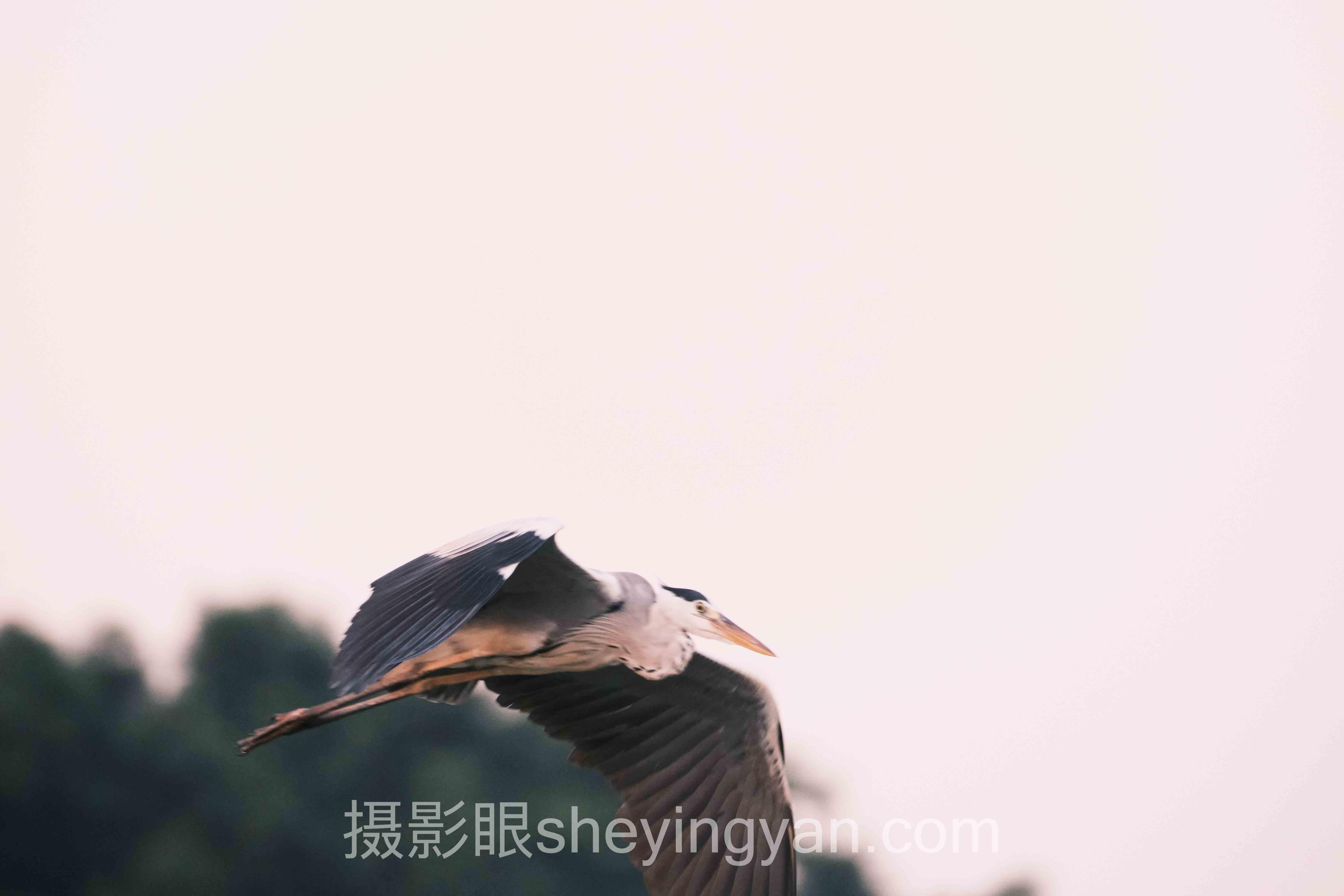 摄影新手必学构图技巧