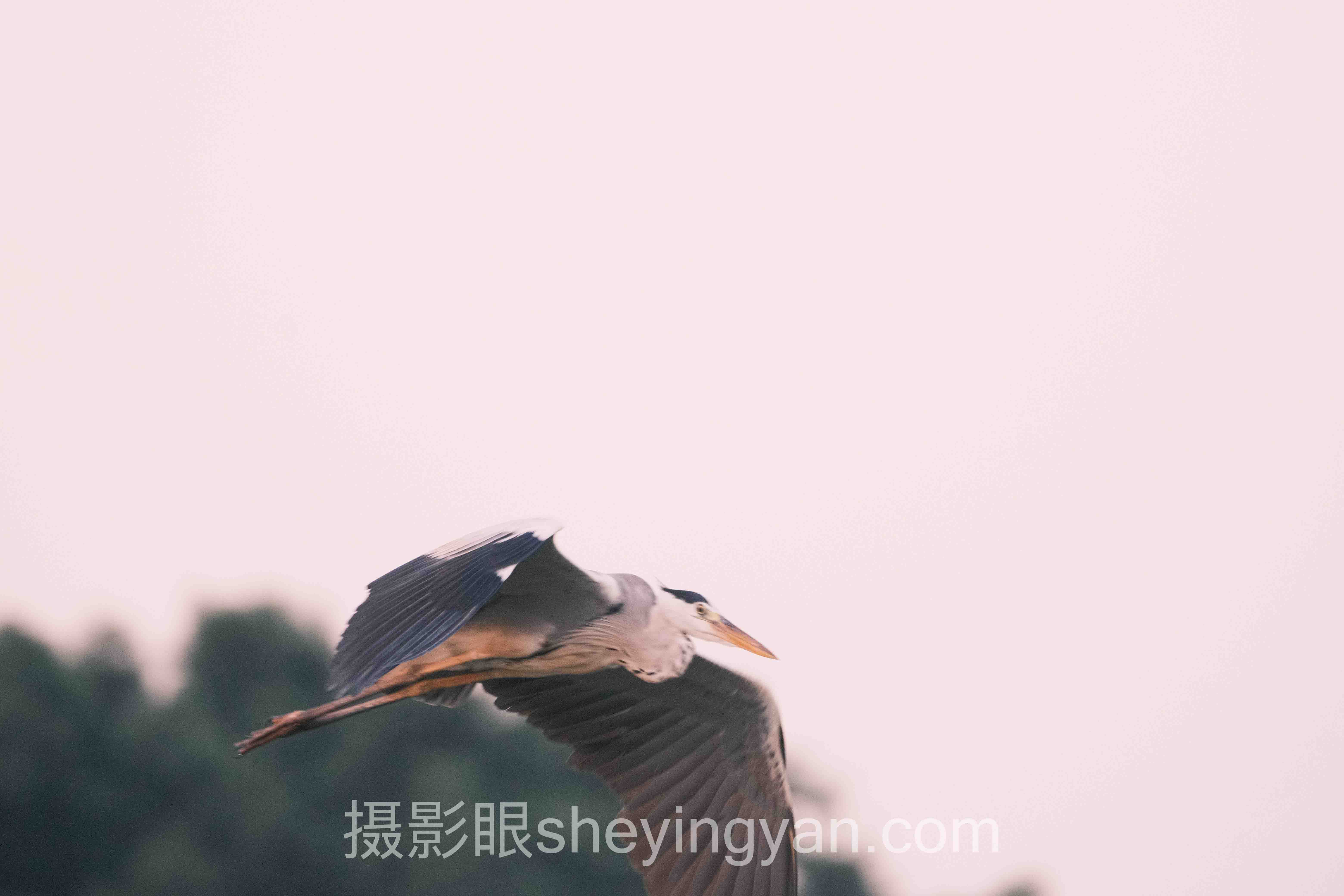 测试摄影水平怎么做？3个案例告诉你答案