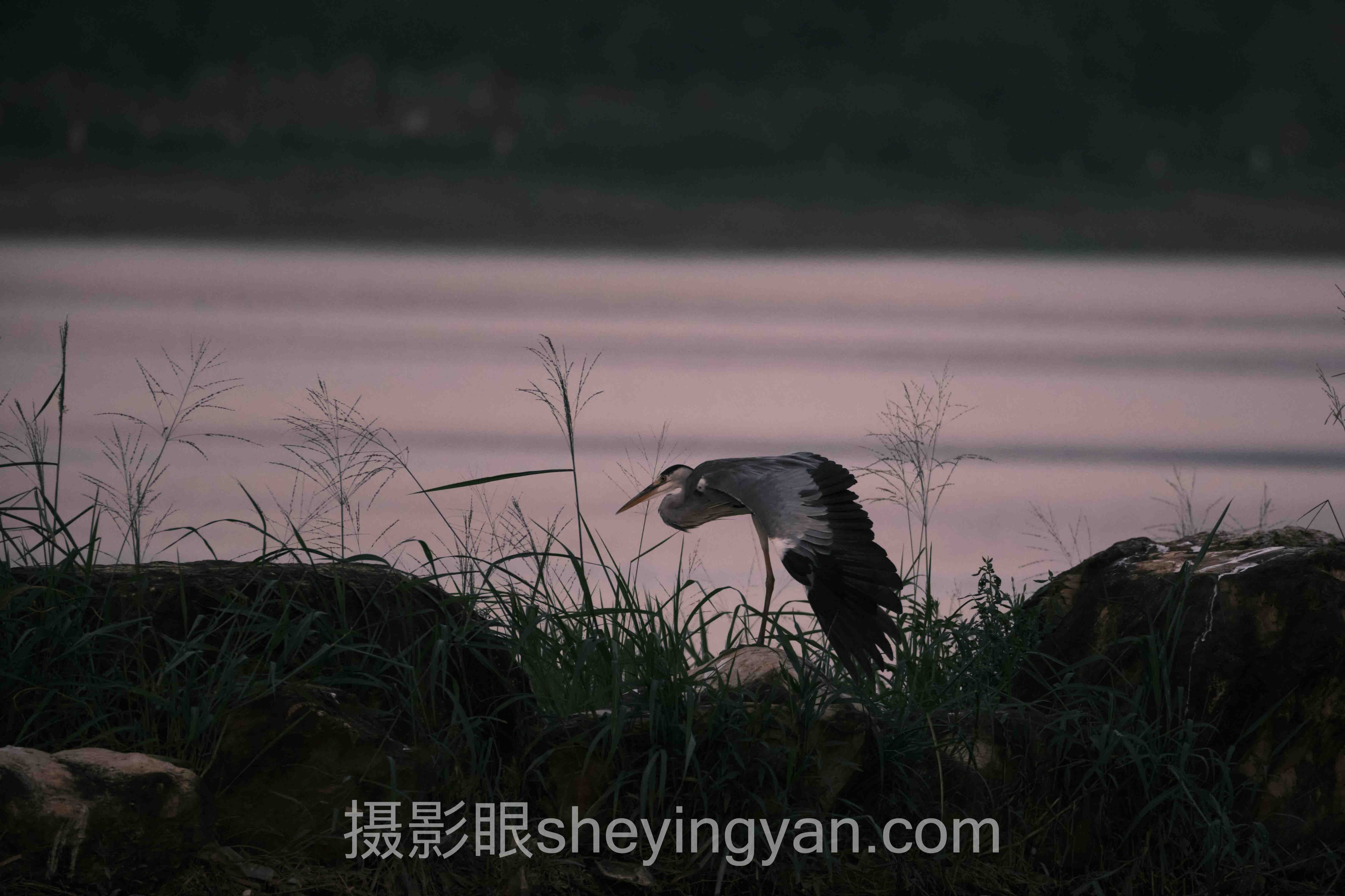 从案例看摄影眼平台瘦脸:3个真实故事背后的方法论