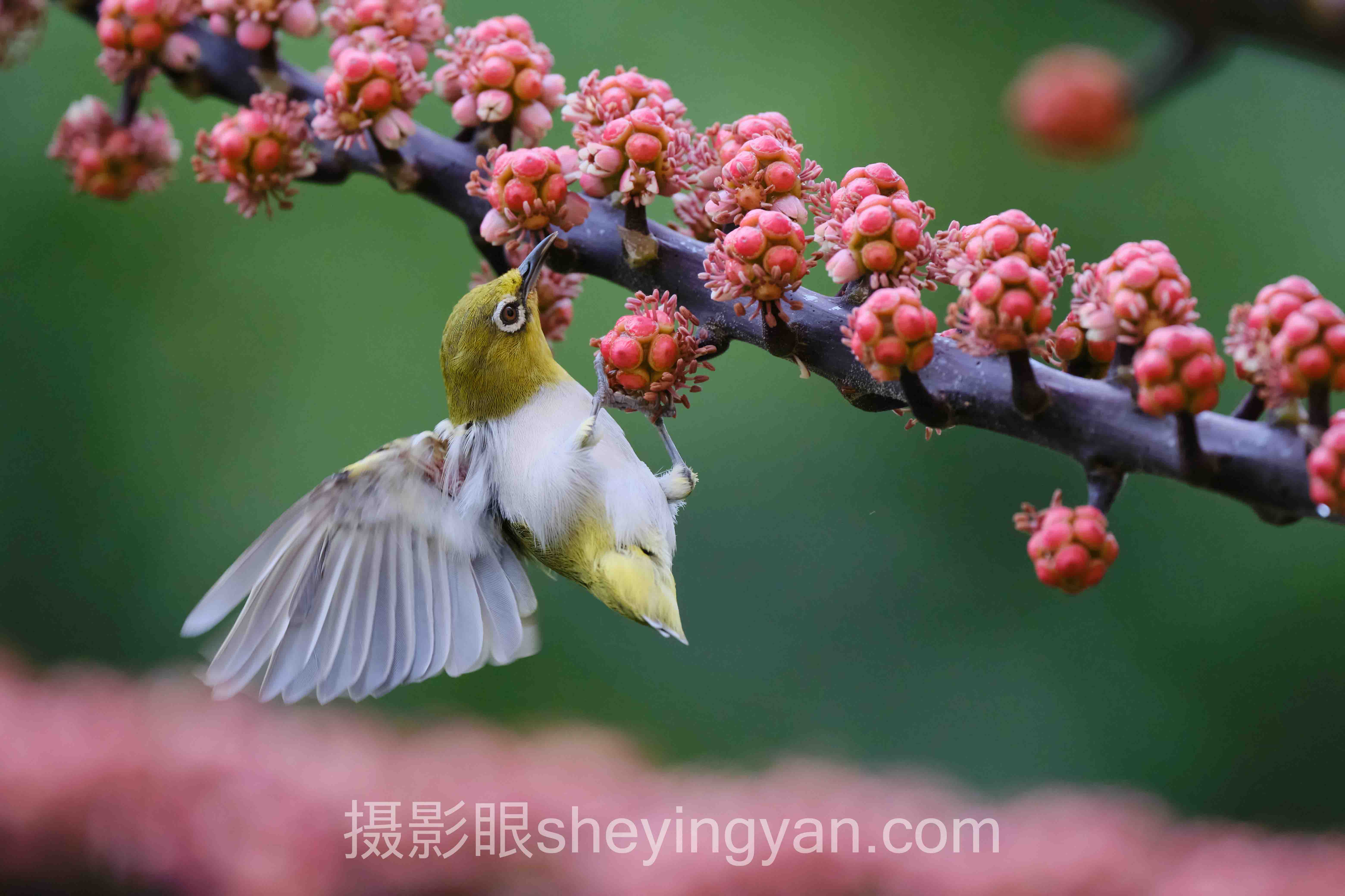 摄影后期修图师工资实战案例拆解:3个成功实践的共同规律